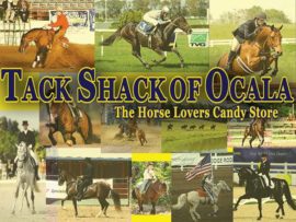 Collage of horse riding and racing scenes.