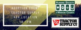 Adoption event at Tractor Supply Co. flyer.